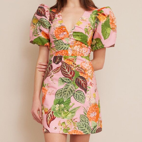 Cara Cara Aliza Dress - Picture 3 of 7